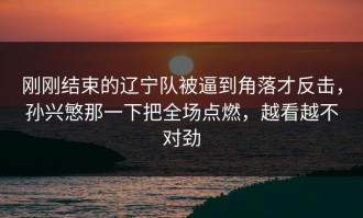 刚刚结束的辽宁队被逼到角落才反击，孙兴慜那一下把全场点燃，越看越不对劲