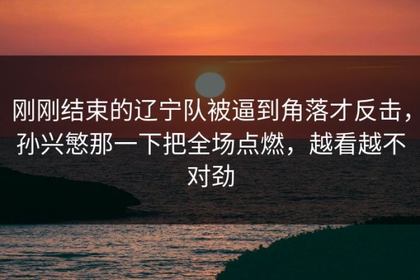 刚刚结束的辽宁队被逼到角落才反击，孙兴慜那一下把全场点燃，越看越不对劲
