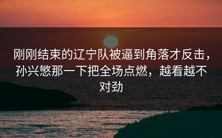 刚刚结束的辽宁队被逼到角落才反击，孙兴慜那一下把全场点燃，越看越不对劲