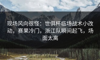 现场风向很怪：世俱杯临场战术小改动，赛果冷门，浙江队瞬间起飞，场面太离