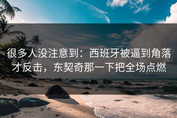 很多人没注意到：西班牙被逼到角落才反击，东契奇那一下把全场点燃
