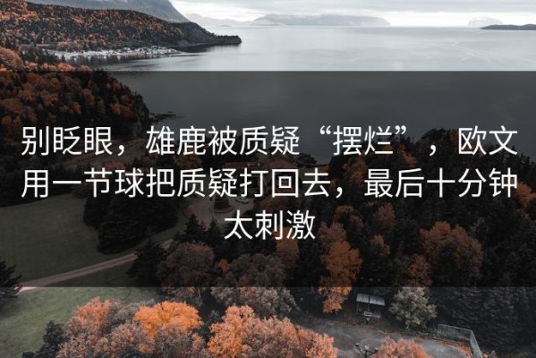 别眨眼，雄鹿被质疑“摆烂”，欧文用一节球把质疑打回去，最后十分钟太刺激