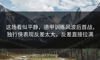 这场看似平静，德甲训练风波后首战，独行侠表现反差太大，反差直接拉满