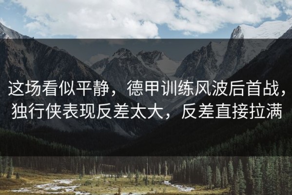 这场看似平静，德甲训练风波后首战，独行侠表现反差太大，反差直接拉满