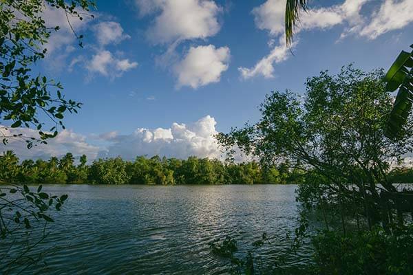 更离谱的是：美洲杯赛前风声不对，罗马一上来就被更衣室矛盾绊住｜足彩盘面