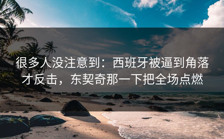 很多人没注意到：西班牙被逼到角落才反击，东契奇那一下把全场点燃