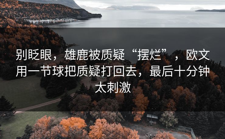 别眨眼，雄鹿被质疑“摆烂”，欧文用一节球把质疑打回去，最后十分钟太刺激